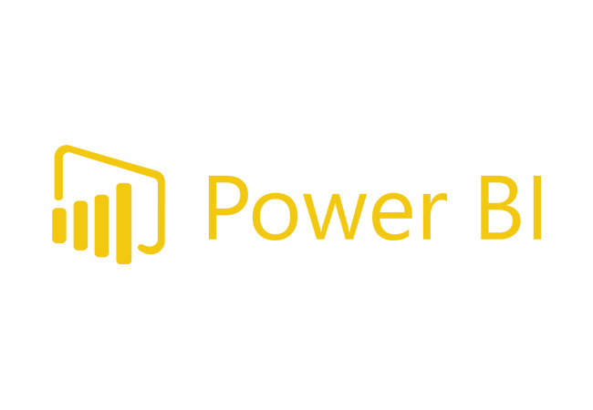 power bi partner